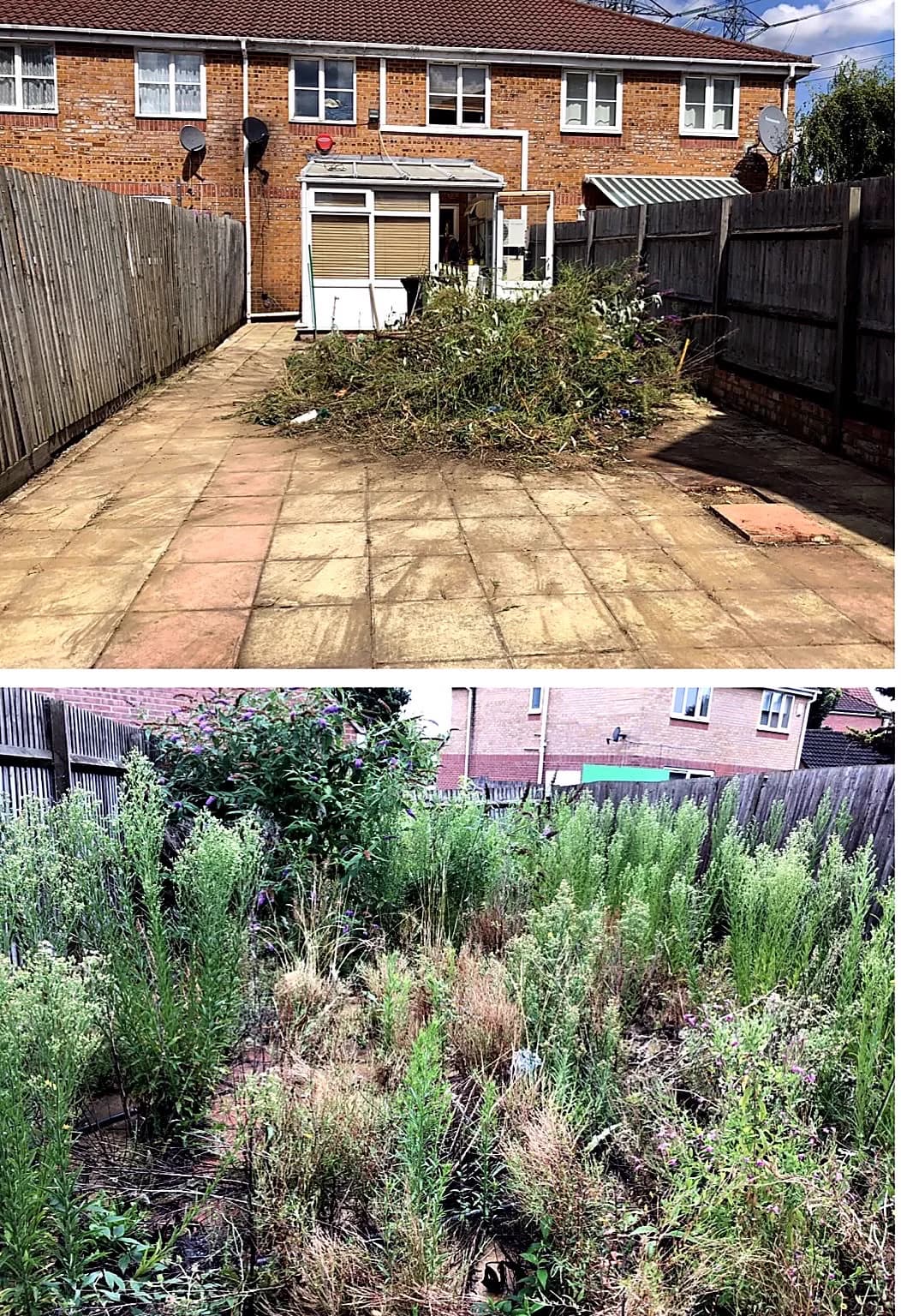 Before-and-after view of overgrown planting cleared from a paved rear garden.